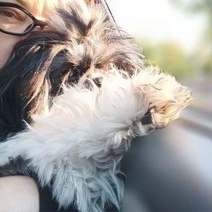 Meet your Posher, Tina